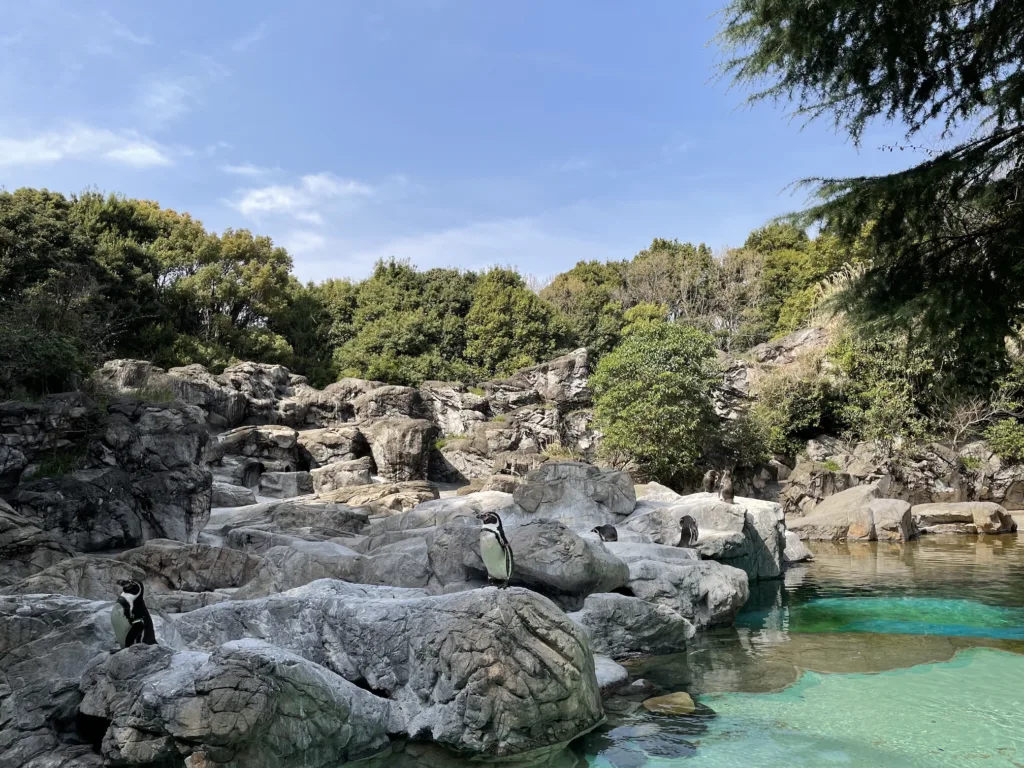 共通年パスで楽しめる「ズーラシア」と「金沢動物園」