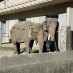 【横浜・金沢】ズーラシアと共通年パスで楽しめる!金沢動物公園